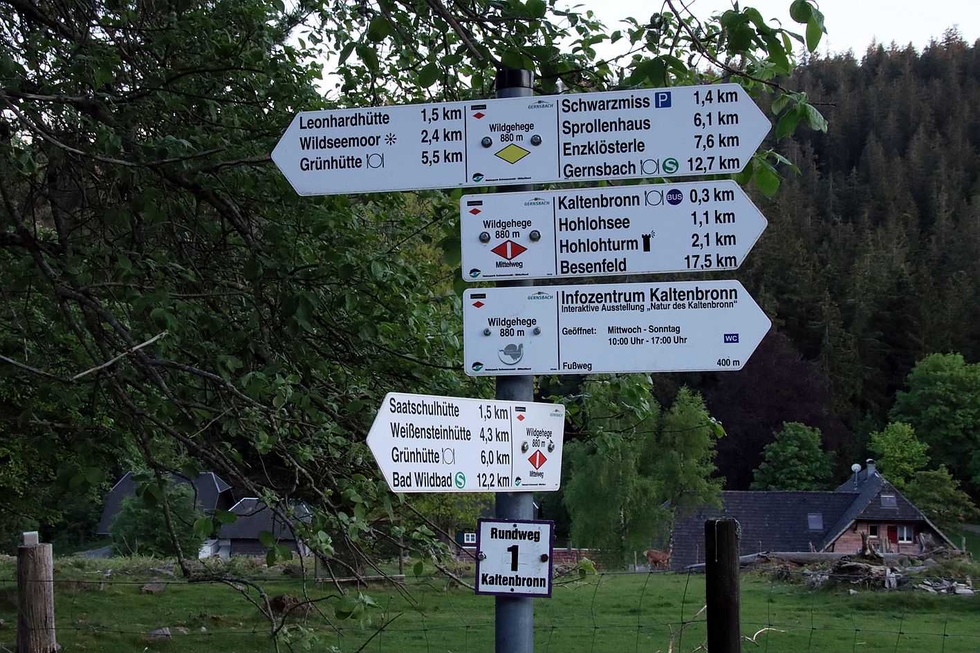 Ausgangspunkt beim Wildgehege, oberhalb vom InfoZentrum Kaltenbronn